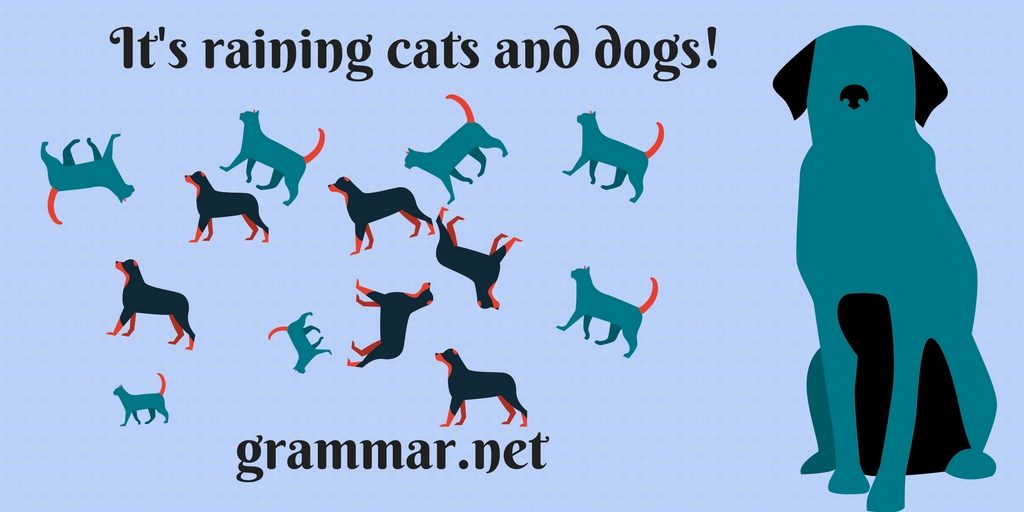 It's raining cats and dogs! Grammar Newsletter English Grammar