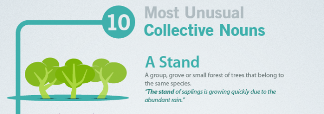 10 Most Unusual Collective Nouns Revealed and Explained
