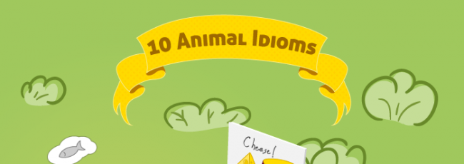 10 Animal Idioms and Their Meanings
