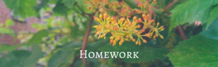 New: Articles Homework