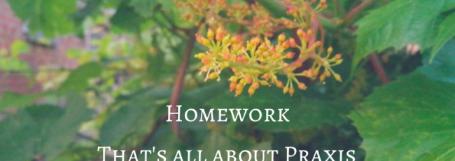 New: Articles Homework