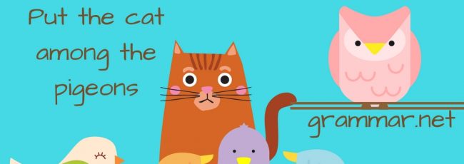 Cat idioms homework