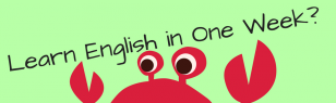 Can I learn English in one day?